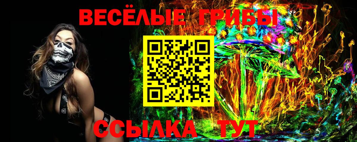 Псилоцибиновые грибы Psilocybine cubensis  Вход с VPN  Кемерово 