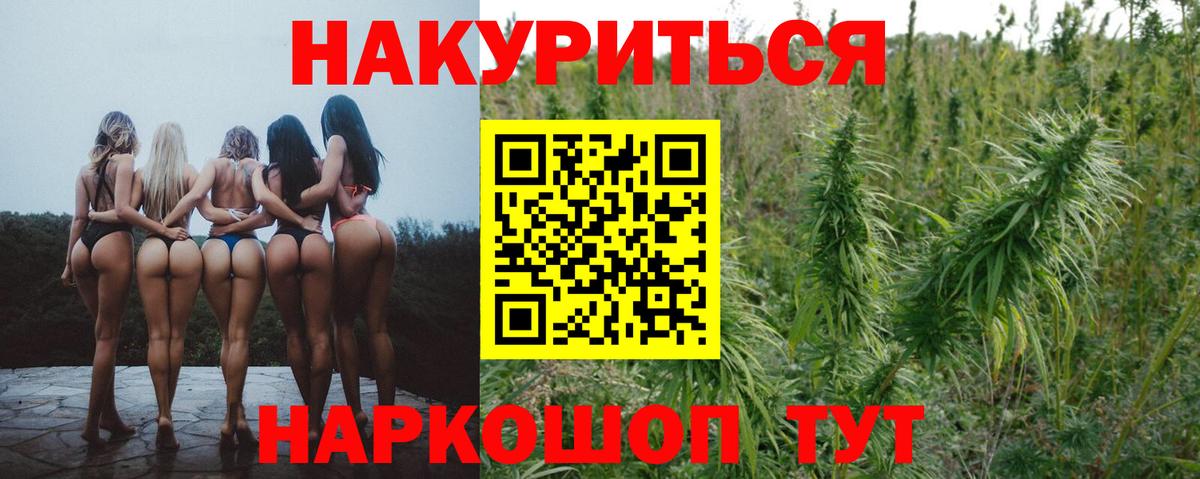 Шишки марихуана ГИДРОПОН  Вход с VPN  Бошки марихуана Amnesia  Бошки марихуана сатива  Кемерово 